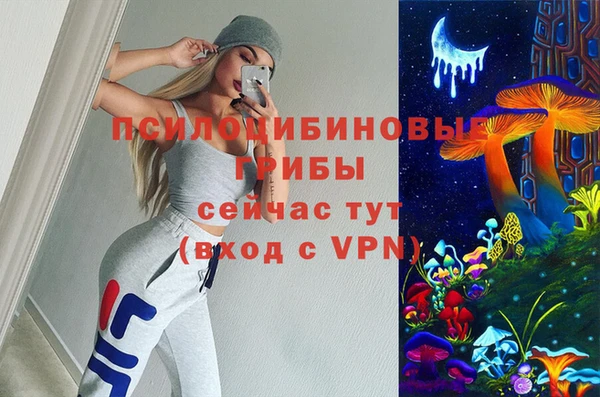 ГАЛЛЮЦИНОГЕННЫЕ ГРИБЫ Богородск